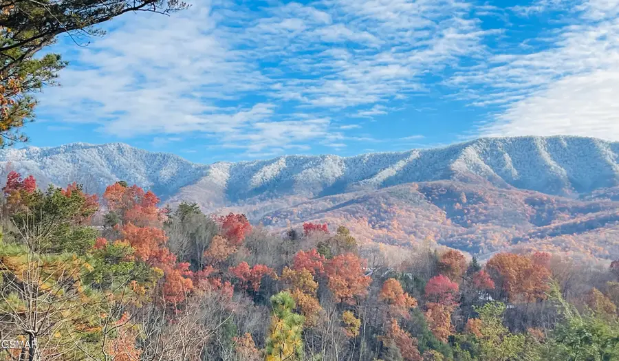 939 Vixen Run, Gatlinburg, TN 37738 - #2