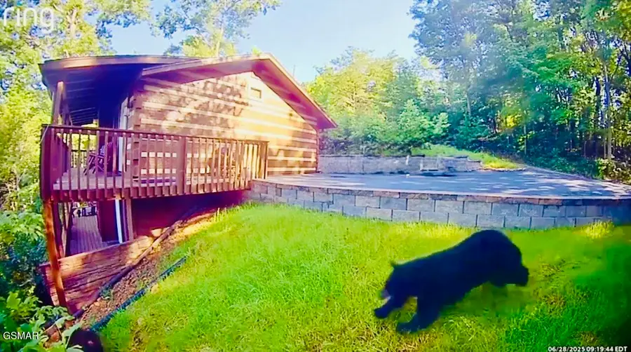 939 Vixen Run, Gatlinburg, TN 37738 - #3