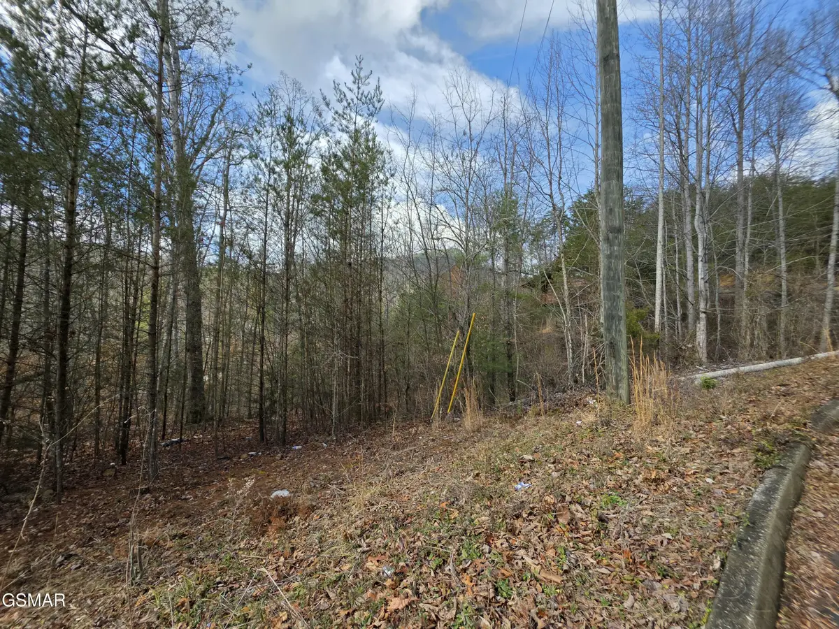 Lot 128 Bear Valley, Sevierville, TN 37876 - #1