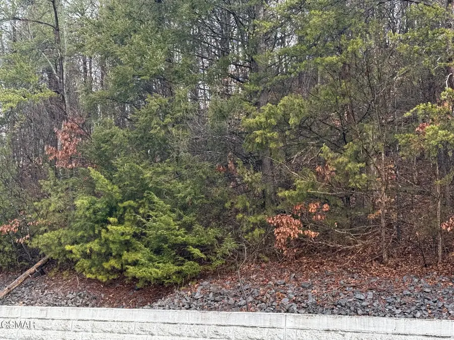 0 Birds Creek Road, Sevierville, TN 37876 - #3