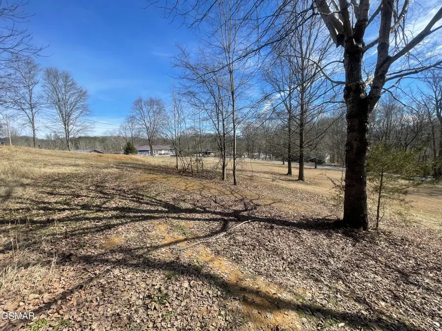 785 Timberlake Circle, Sevierville, TN 37876 - #3