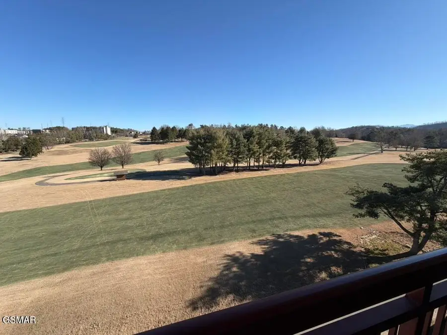 212 Dollywood Lane #UNIT 163, Pigeon Forge, TN 37863 - #2