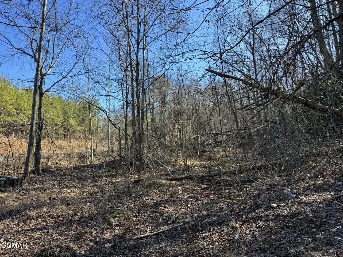 Lot 27 Blue Springs Way, Newport, TN 37821 - #1