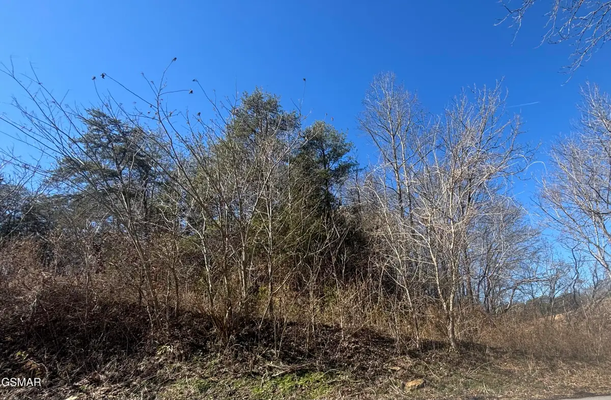 Tract 4 Rule Hollow Road, Sevierville, TN 37876 - #1