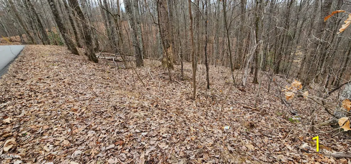 2225 King Hollow Road, Sevierville, TN 37876 - #1