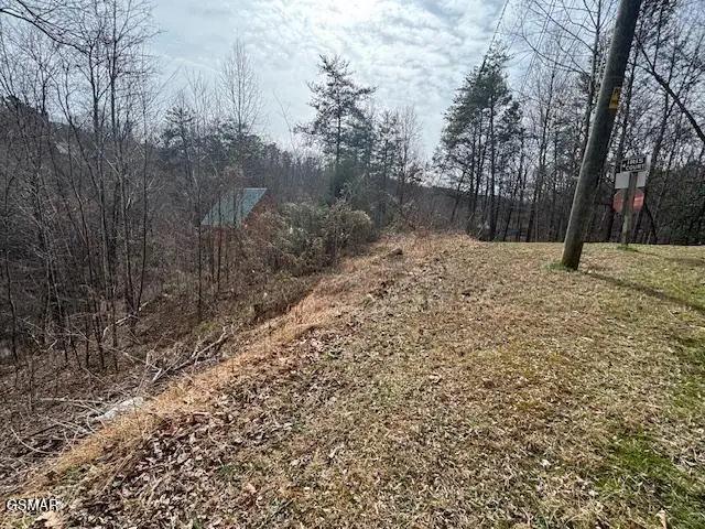 Lot 445 Sky View Lane, Sevierville, TN 37876 - #3