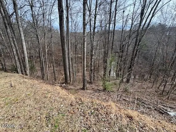 Lot 444 Sky View, Sevierville, TN 37876
