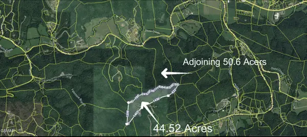 0 Henry Town Road, Sevierville, TN 37876