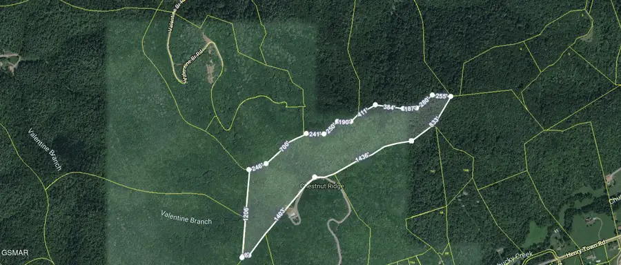 0 Henry Town Road, Sevierville, TN 37876 - #3