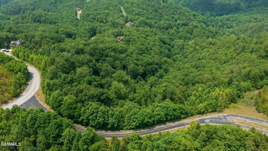 Lot 60W Longhunter Lane, Sevierville, TN 37862 - #2