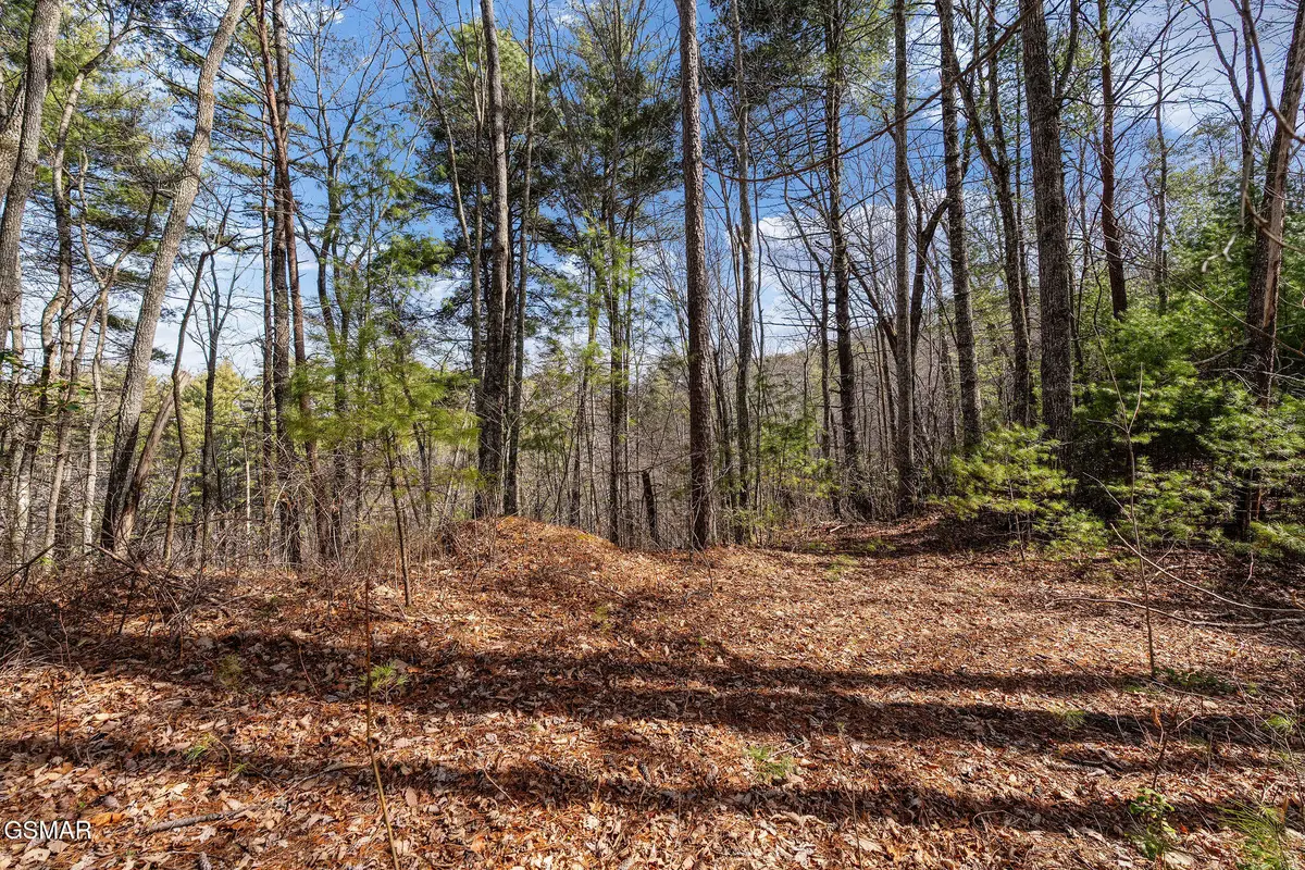 Lot 12 Paint Horse Way, Sevierville, TN 37876 - #1