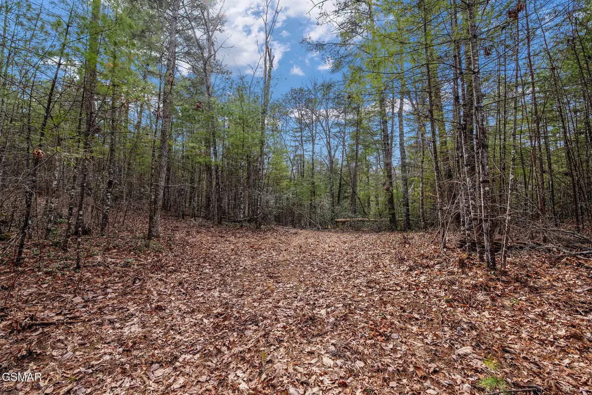 Lot 14 Paint Horse Way, Sevierville, TN 37876 - #1