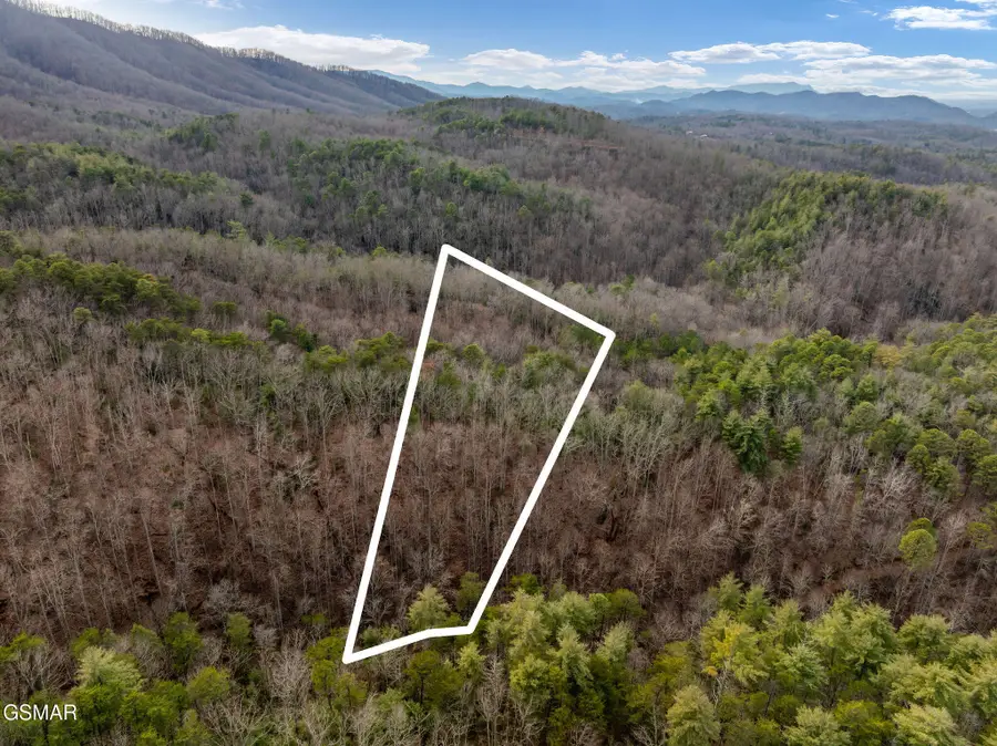 Lot 14 Paint Horse Way, Sevierville, TN 37876 - #2