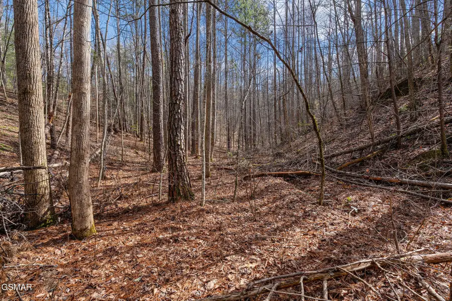 Lot 14 Paint Horse Way, Sevierville, TN 37876 - #3