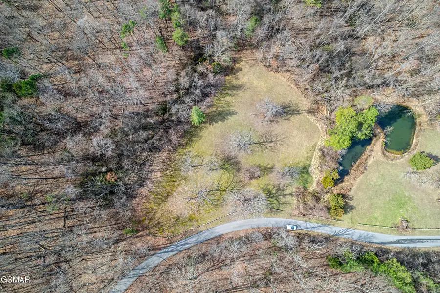0 Collier Loop, Dandridge, TN 37725 - #3
