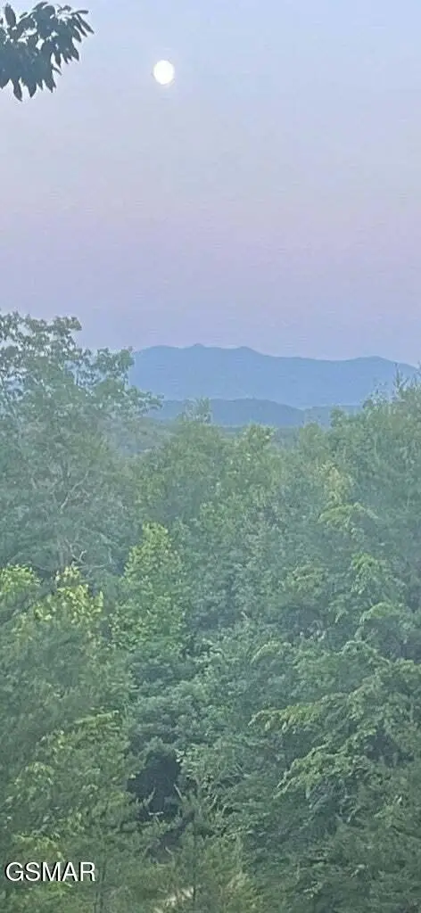 Lot 27 Trace Way, Sevierville, TN 37862 - #3