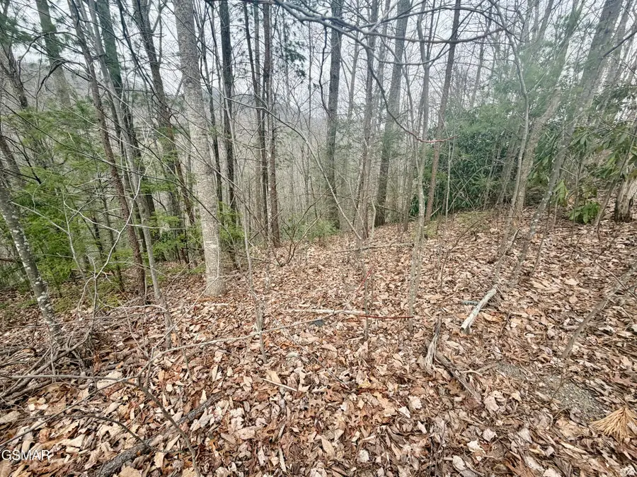 Lot 6 Thissa Way, Gatlinburg, TN 37738 - #2