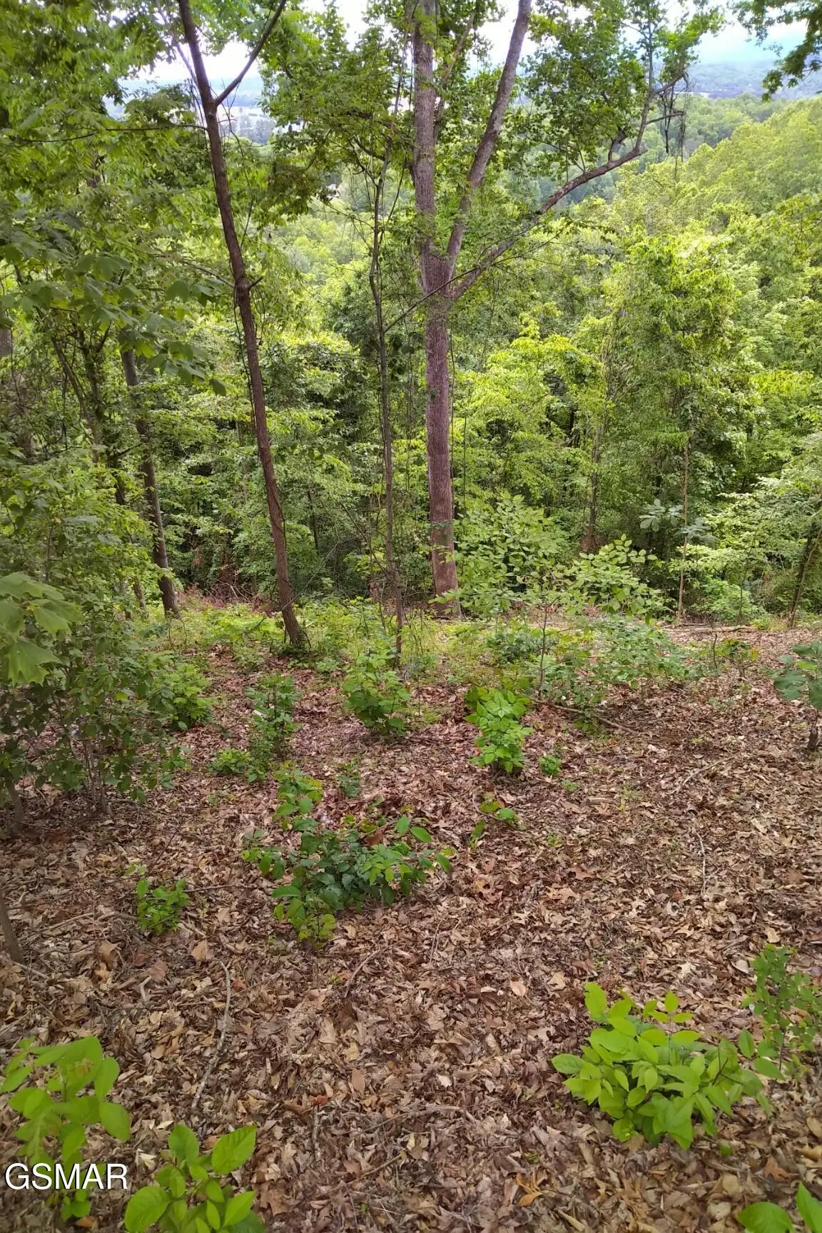 2019 Cluster Oak Way, Sevierville, TN 37876 - #1