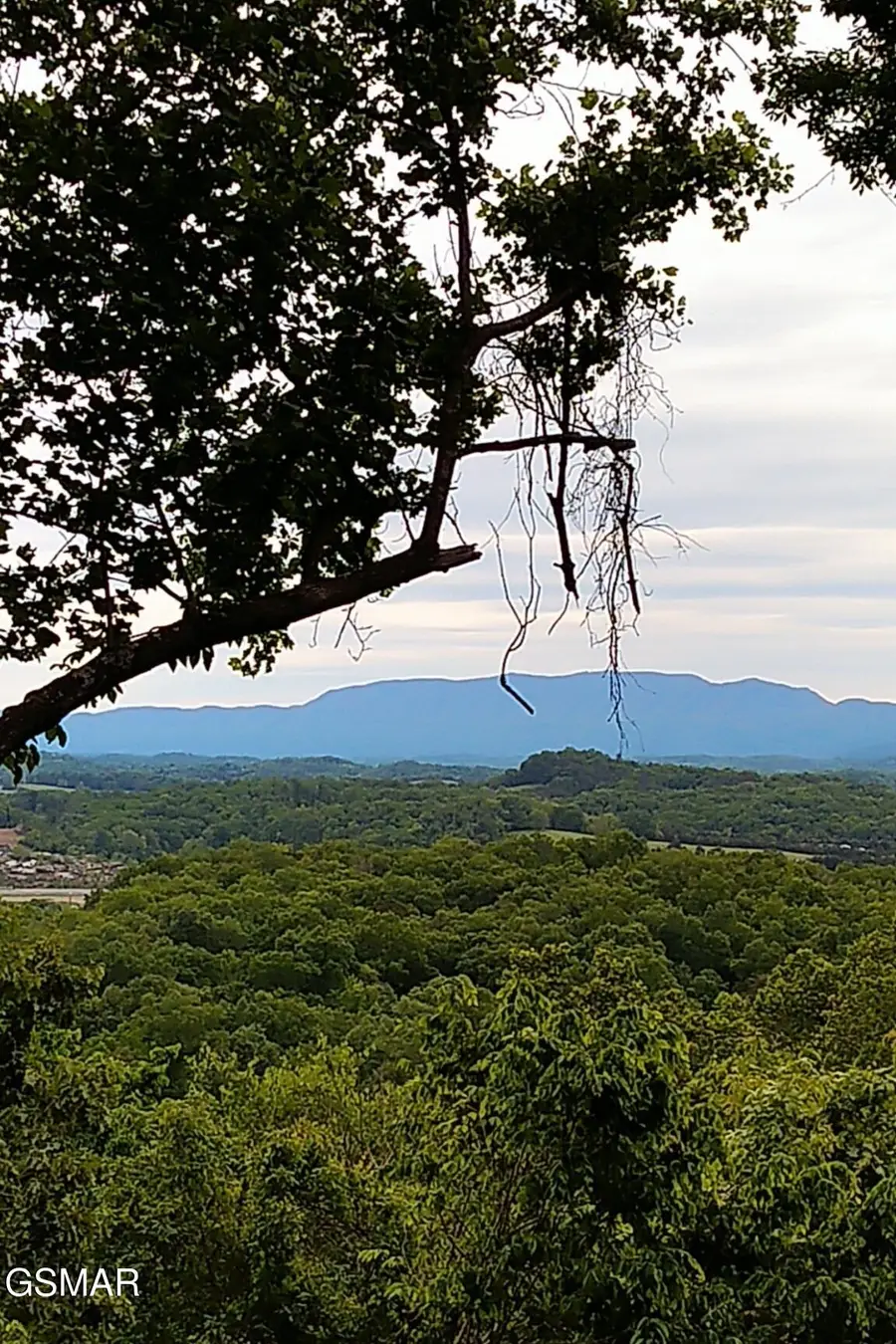 2019 Cluster Oak Way, Sevierville, TN 37876 - #3