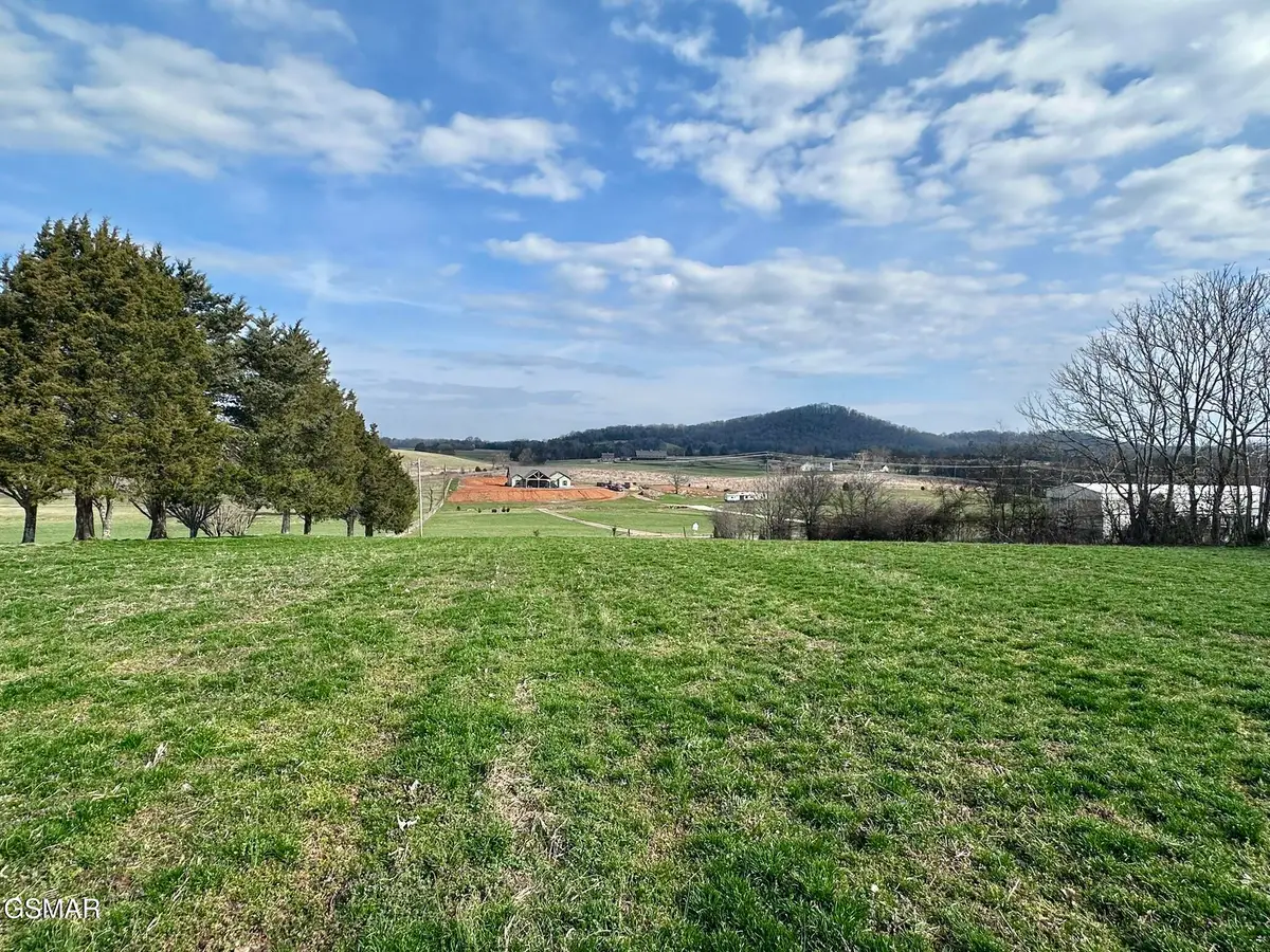 Lot 0 Mine Road, New Market, TN 37820 - #1