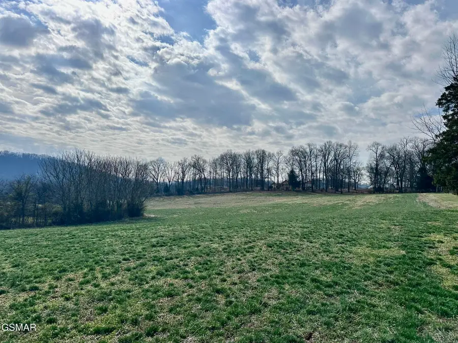 Lot 0 Mine Road, New Market, TN 37820 - #2
