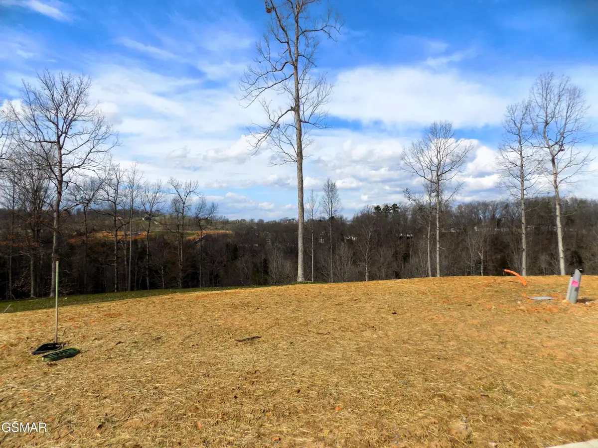 Lot 35 Graystone Shoals, Morristown, TN 37814 - #1