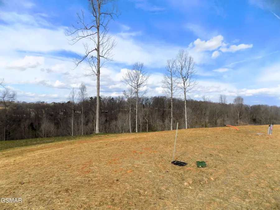 Lot 35 Graystone Shoals, Morristown, TN 37814 - #3