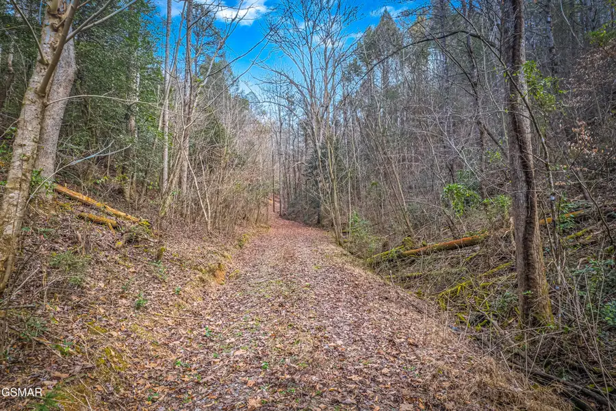 00 Boogertown Road, Sevierville, TN 37876 - #3