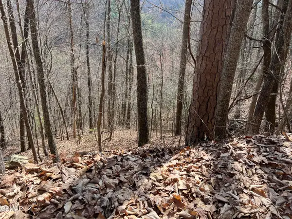 Lot 28 Laurel Lane, Sevierville, TN 37876
