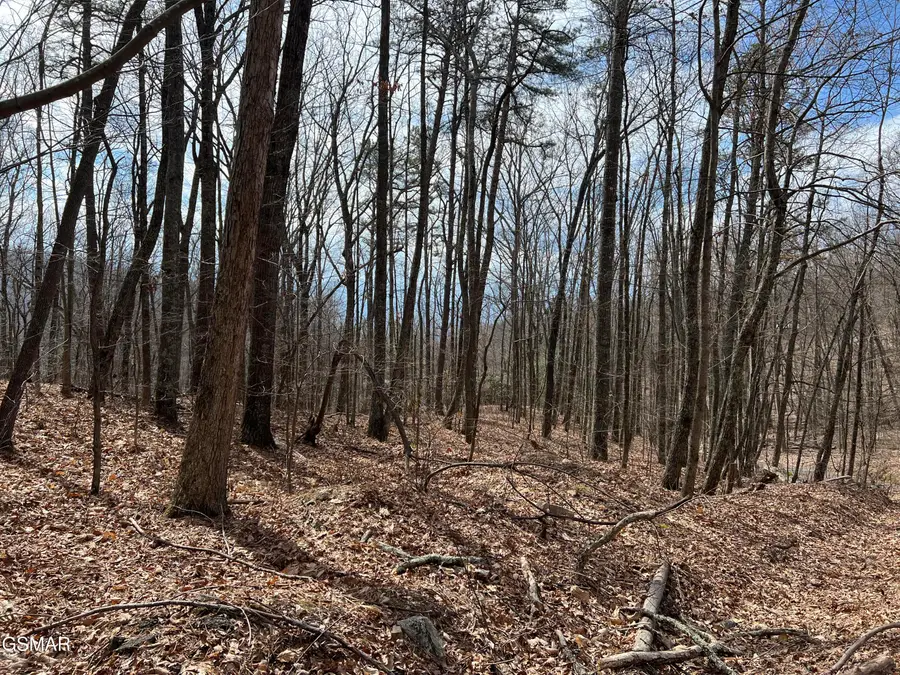Lot 28 Laurel Lane, Sevierville, TN 37876 - #2