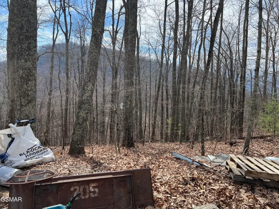 Lot 28 Laurel Lane, Sevierville, TN 37876 - #3