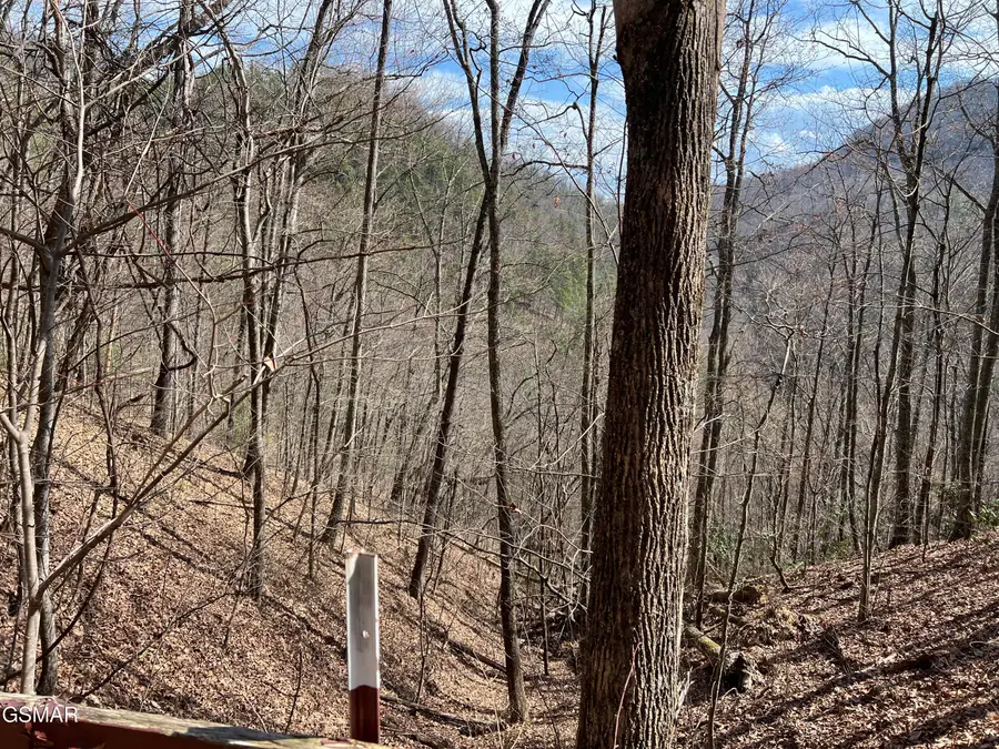 Lot 26 Aintree Drive, Sevierville, TN 37876 - #3