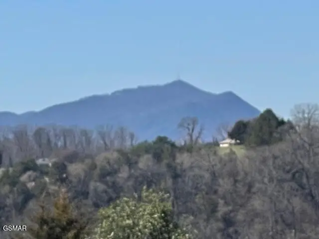 2205 Murphys Chapel Drive, Sevierville, TN 37876 - #2