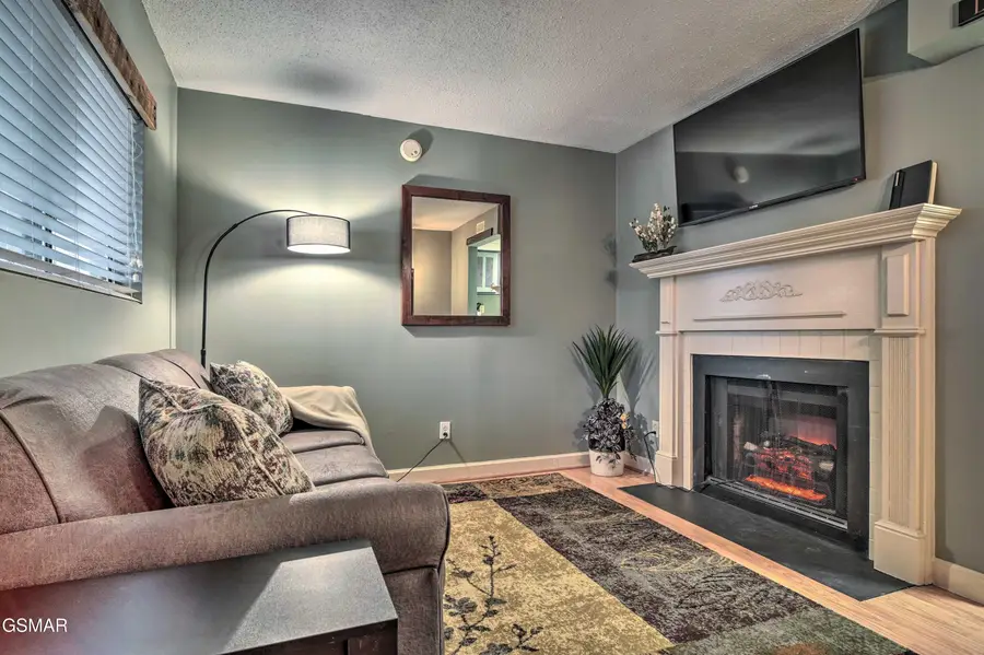 685 River Road #306, Gatlinburg, TN 37738 - #3