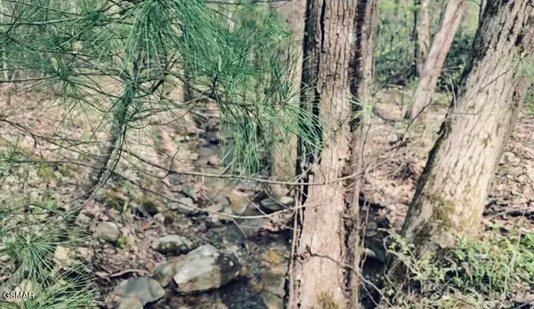 4046 Forest Trails Drive, Sevierville, TN 37876