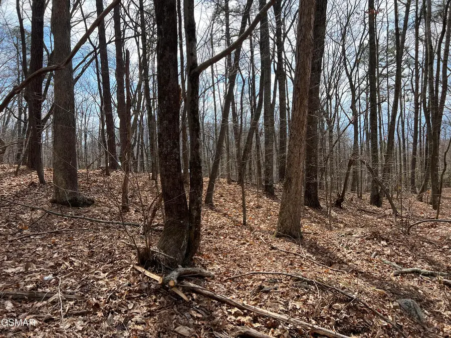 Lot12 Swann Saddle Lane, Sevierville, TN 37876 - #2