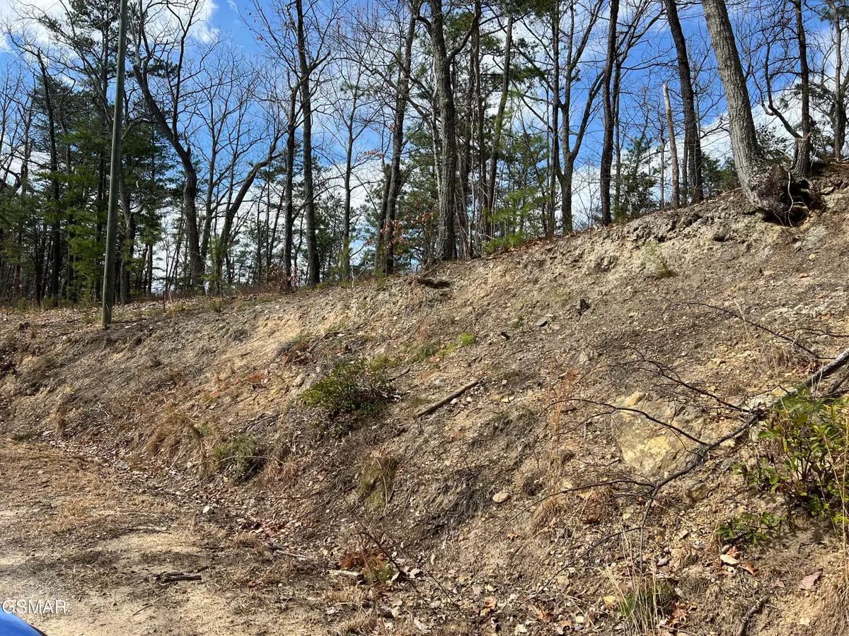 1154 Chestnut Ridge Court, Sevierville, TN 37876 - #1