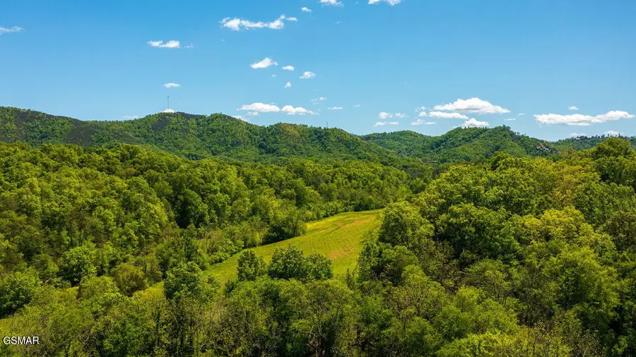 2234 Green Acres Circle, Sevierville, TN 37862 - #3