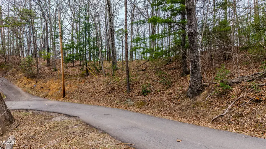 Lot 15 S Boogertown South Road, Sevierville, TN 37876 - #3