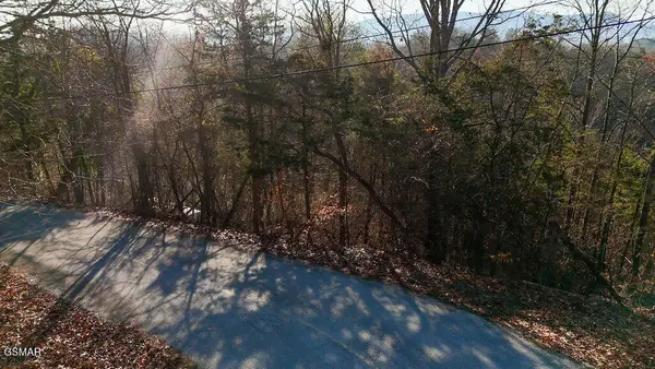 407 Jack Potts Drive, Dandridge, TN 37725