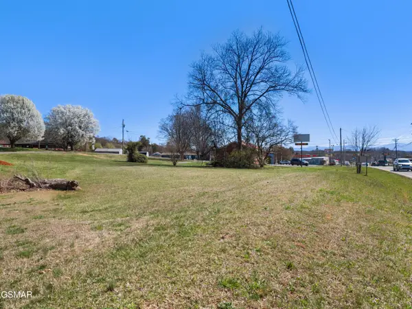 TBD E Hwy 25, White Pine, TN 37890