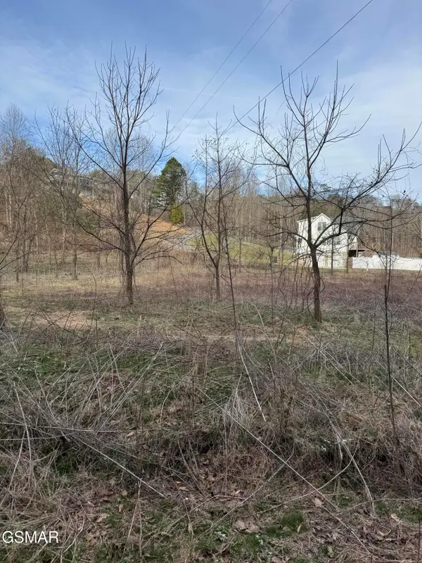 LOT 14 Katelyns Lane, Sevierville, TN 37876