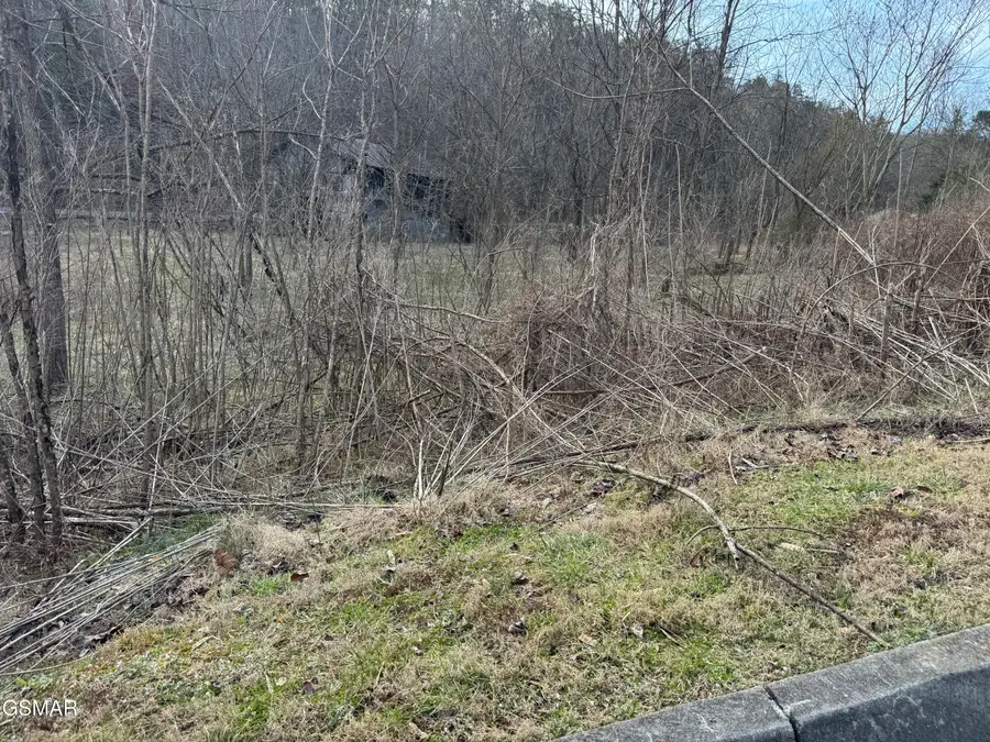 LOT 14 Katelyns Lane, Sevierville, TN 37876 - #2