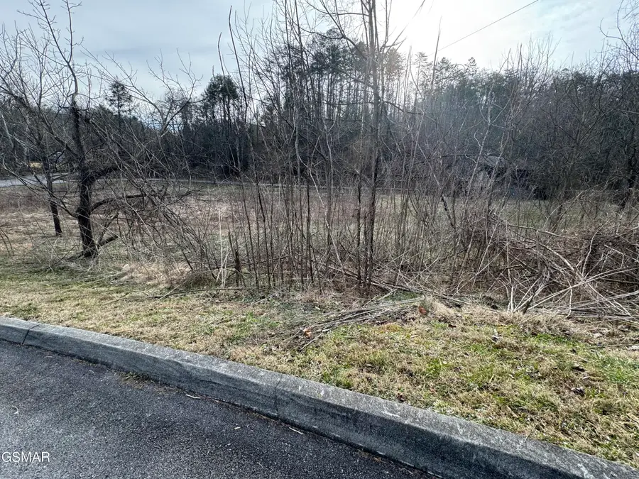LOT 18 Katelyns Lane, Sevierville, TN 37876 - #2
