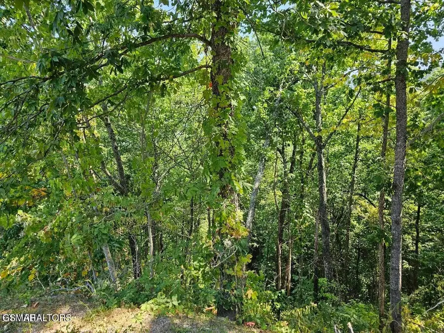 Lot 13-AR Villa Ridge Place, Sevierville, TN 37862 - #3