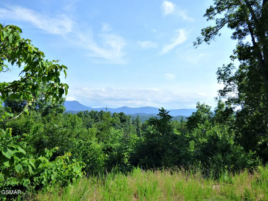 Lot 32 Tranquility Trail, Dandridge, TN 37725 - #3