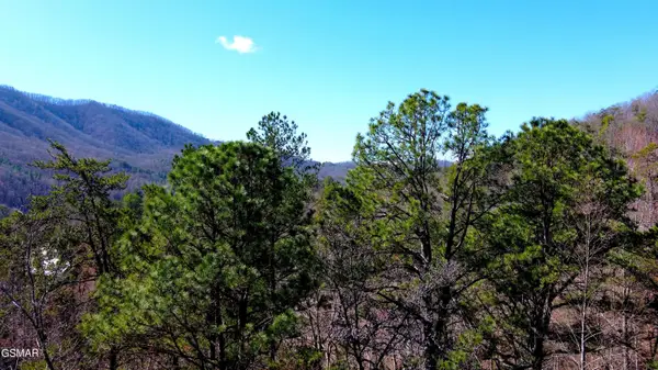 4 Walden Ridge Road, Sevierville, TN 37862