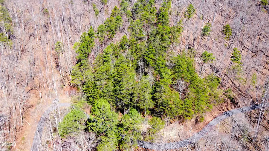 4 Walden Ridge Road, Sevierville, TN 37862 - #2