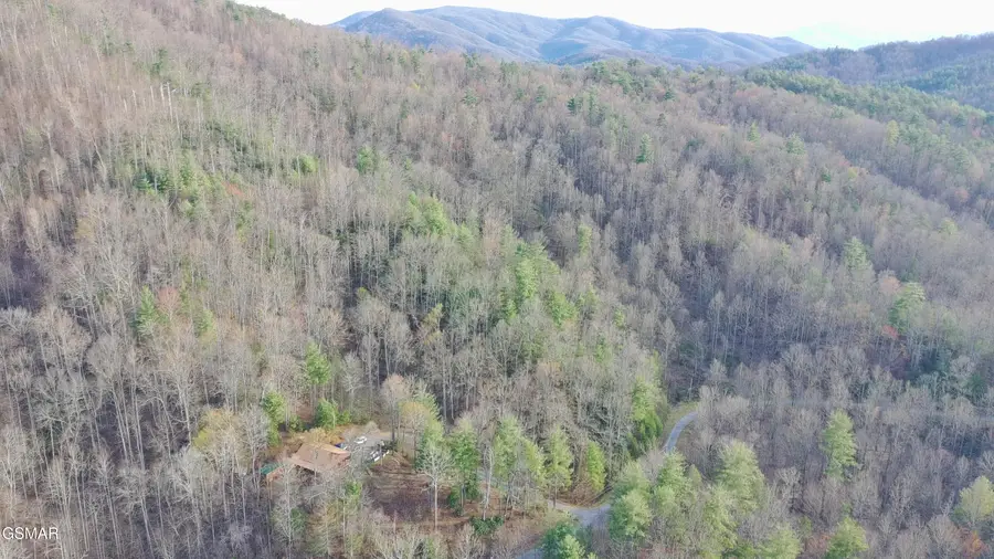 132 Sugar Maple Way, Del Rio, TN 37727 - #2