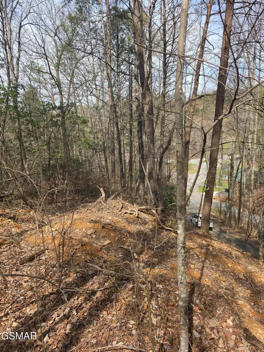 Lot 101 Ridgefield Dr., Sevierville, TN 37876 - #3
